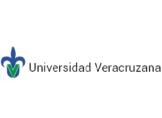 Ephicient logo